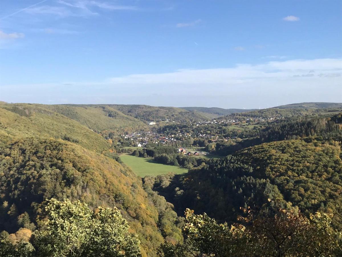 Villa Holgenbach - Penthouse- Und Ferienwohnung Im Nationalpark Eifel Шлайден Екстериор снимка