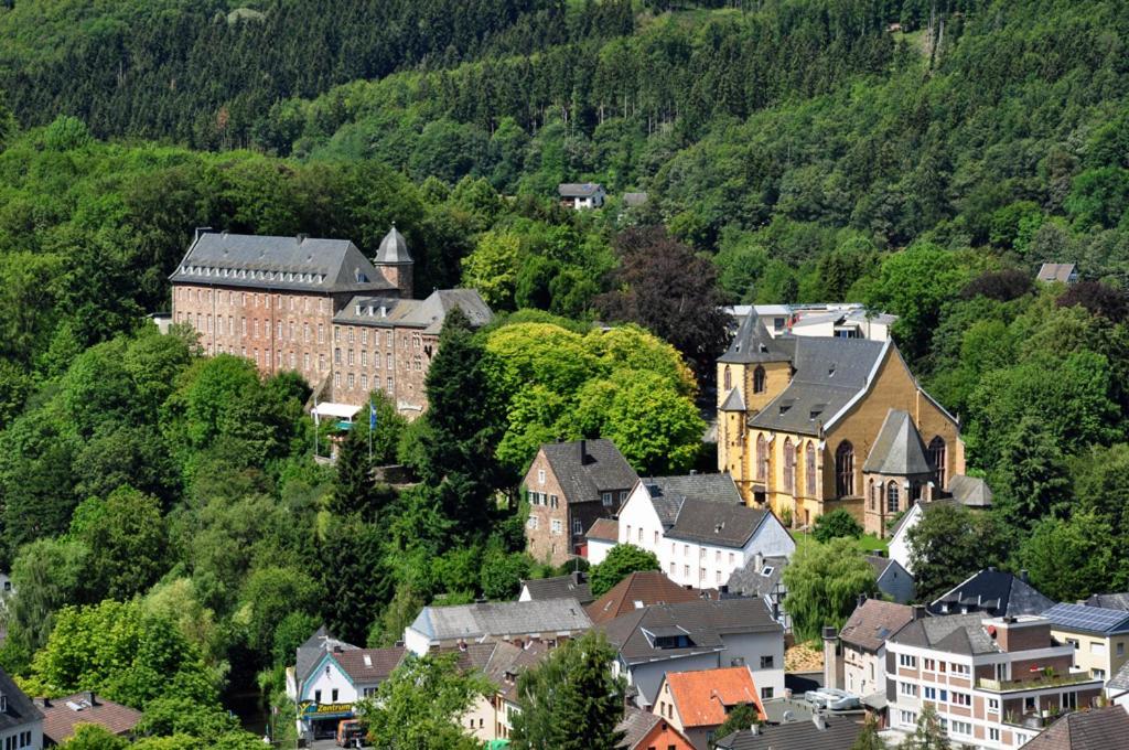 Villa Holgenbach - Penthouse- Und Ferienwohnung Im Nationalpark Eifel Шлайден Екстериор снимка