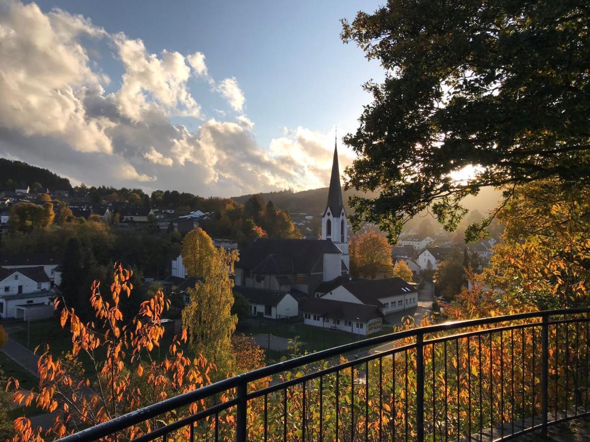 Villa Holgenbach - Penthouse- Und Ferienwohnung Im Nationalpark Eifel Шлайден Екстериор снимка