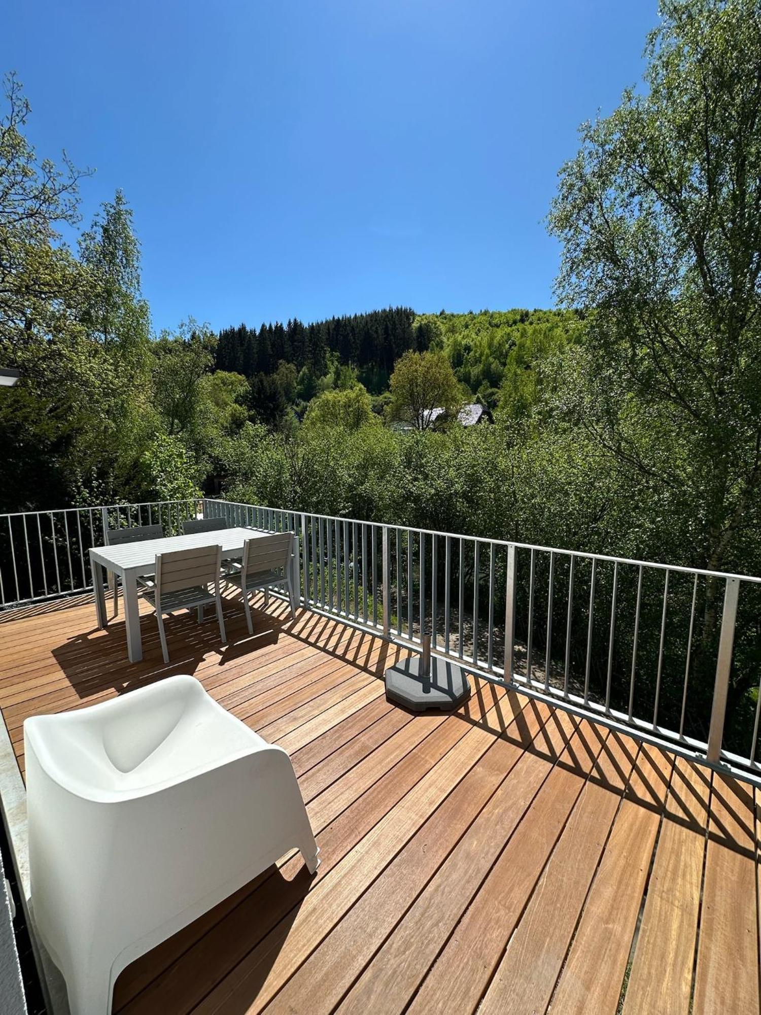Villa Holgenbach - Penthouse- Und Ferienwohnung Im Nationalpark Eifel Шлайден Екстериор снимка