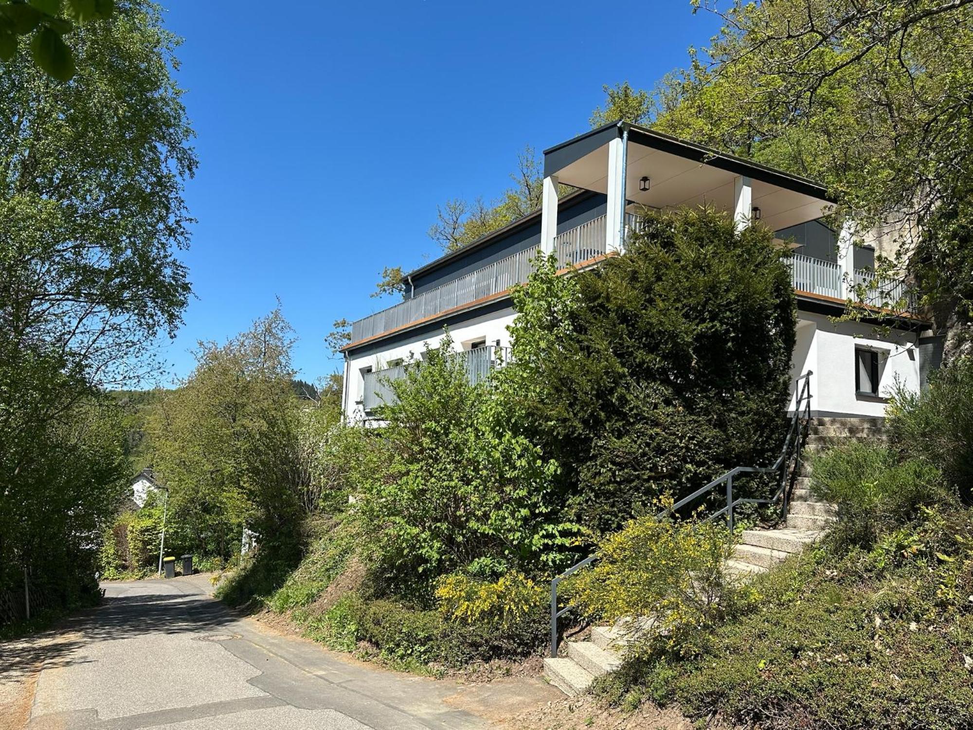 Villa Holgenbach - Penthouse- Und Ferienwohnung Im Nationalpark Eifel Шлайден Екстериор снимка