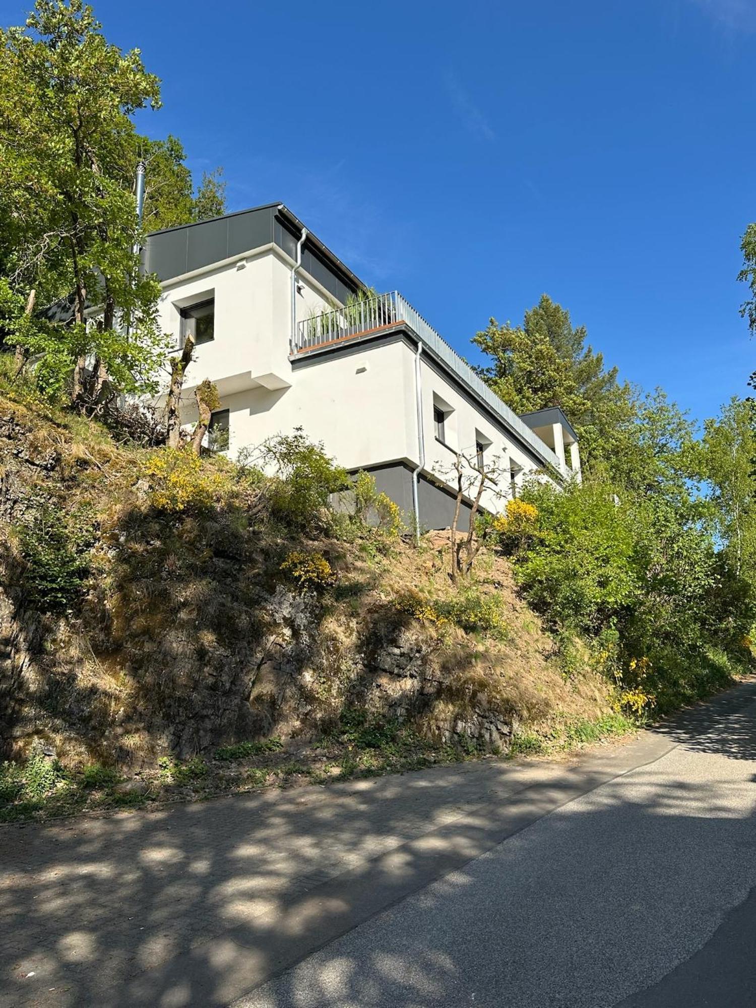 Villa Holgenbach - Penthouse- Und Ferienwohnung Im Nationalpark Eifel Шлайден Екстериор снимка