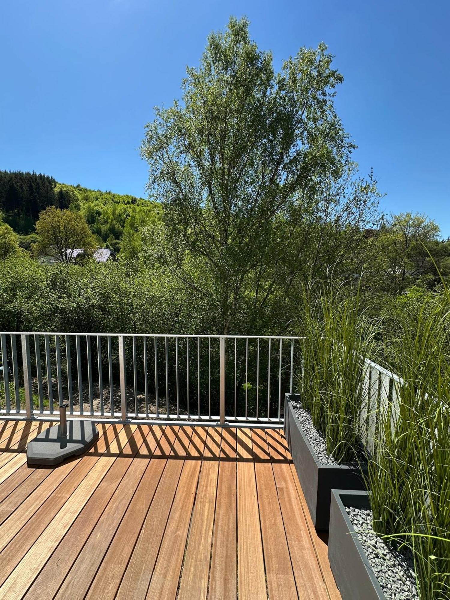 Villa Holgenbach - Penthouse- Und Ferienwohnung Im Nationalpark Eifel Шлайден Екстериор снимка